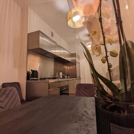 Spacious Two-bedroom In The Center Апартаменты Краков