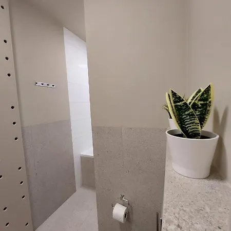 Spacious Two-bedroom In The Center 아파트