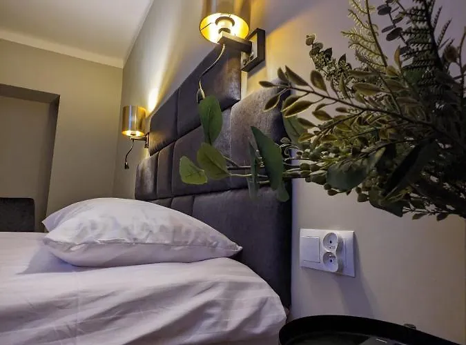 Spacious Two-bedroom In The Center *