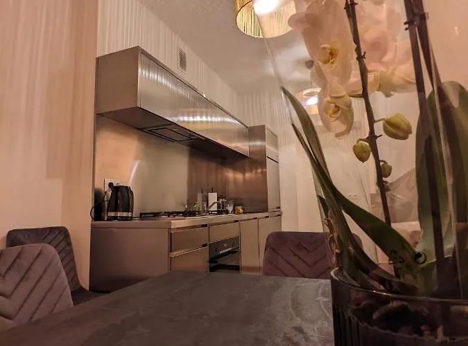 Spacious Two-bedroom In The Center 公寓 克拉科夫