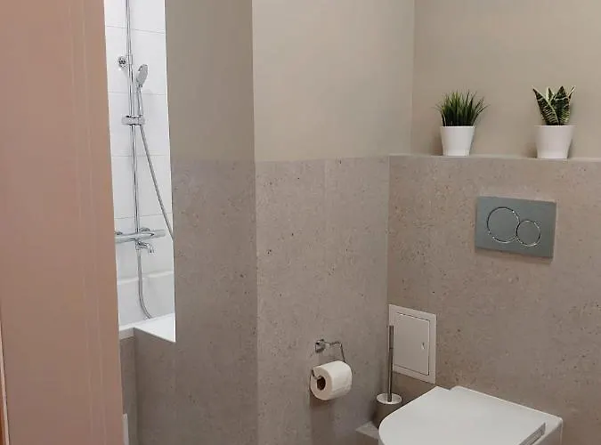 公寓 Spacious Two-bedroom In The Center 克拉科夫