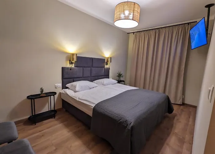 Spacious Two-bedroom In The Center 克拉科夫