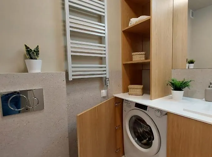 Spacious Two-bedroom In The Center 克拉科夫