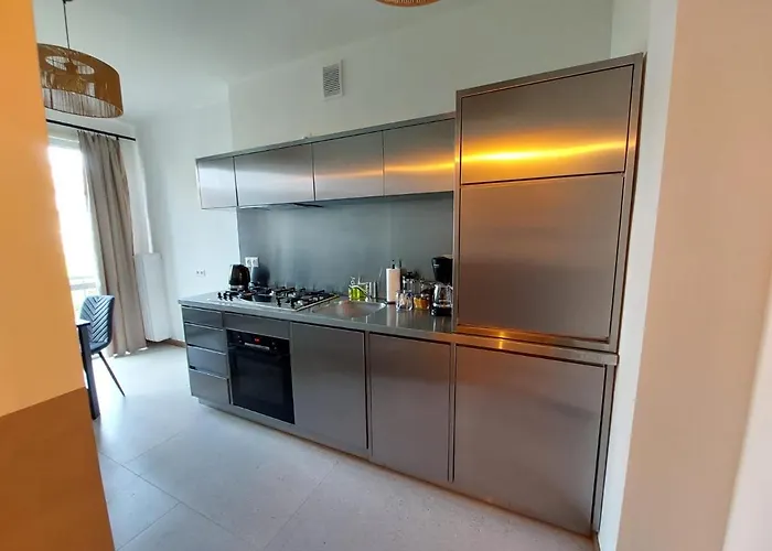 Spacious Two-bedroom In The Center 克拉科夫